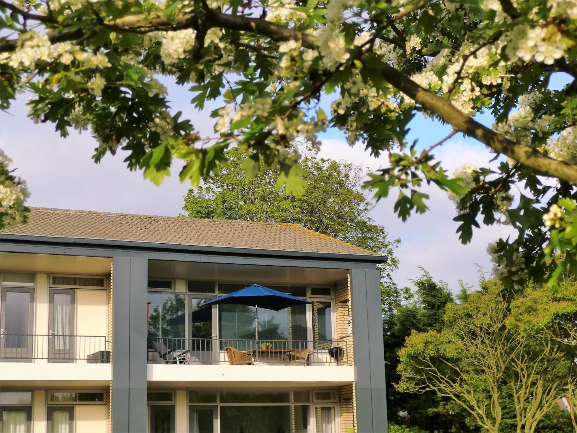 Apartment Modern In Near The Sea